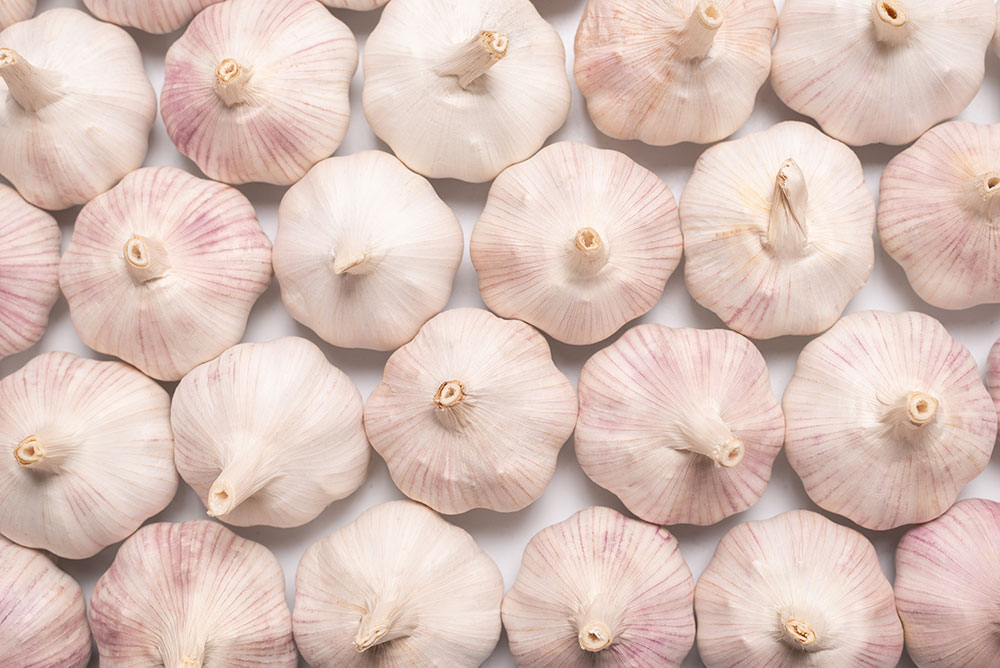 garlic
